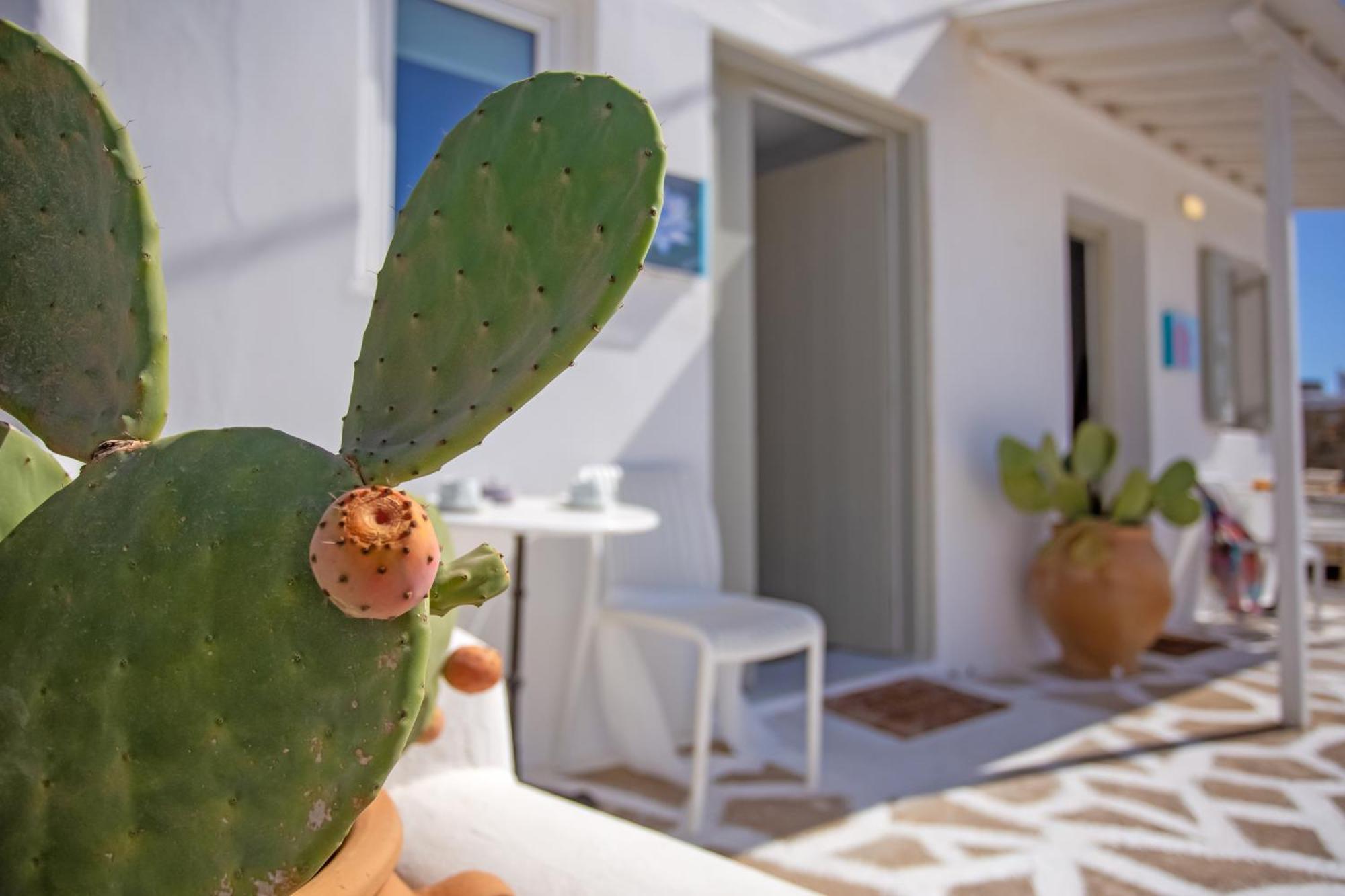 Sing And Blossom Accommodation Mykonos Town 外观 照片